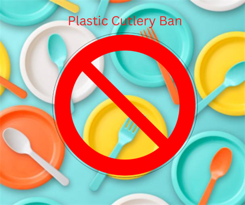 Plastic Cutlery Ban Image.png