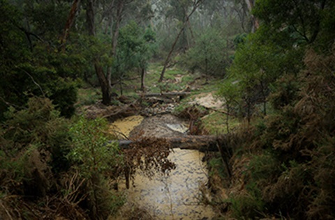 A creek in Creswick impacted by the storm