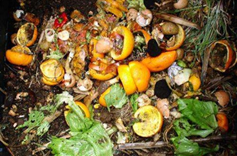 Food scraps in a compost bin
