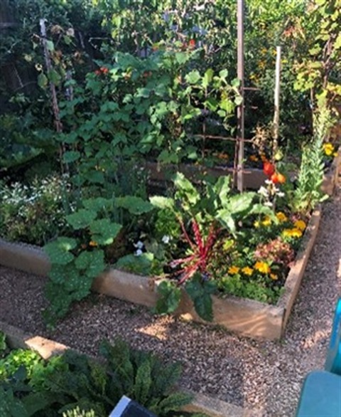 Edible gardens.jpg