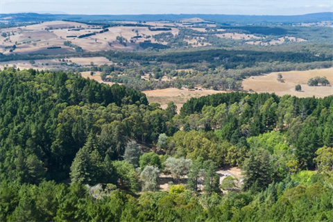 Lalgambuk Mt Franklin (Credit Barry Gamble2024)