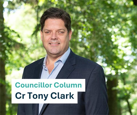 Councillor column.png