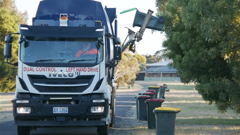 bin collection.jpg