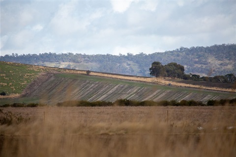 Clunes fields and hills.jpg