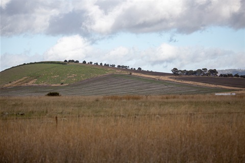 Creswick landscape