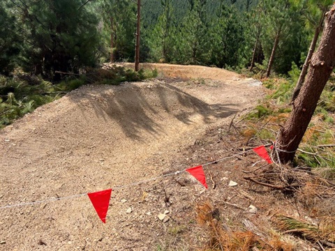 Trails under construction with flags visible