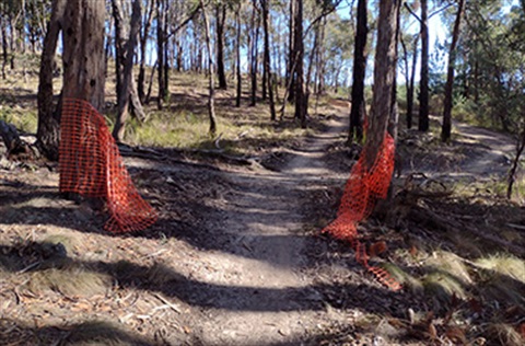 Bunting being cut at Creswick Trails - vandalism