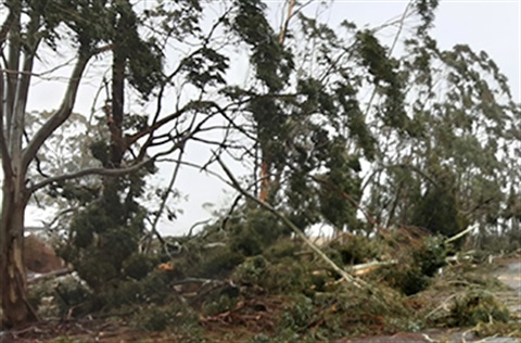 Debris on the roadside from the June storm