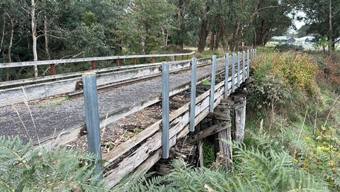Domino Trail bridge - Trentham - Website - No watermark.JPG