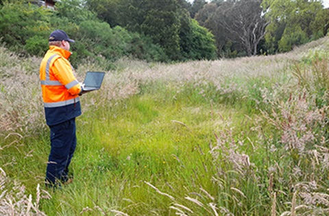 Fire hazard inspections out in the field with person on laptop observing long grass