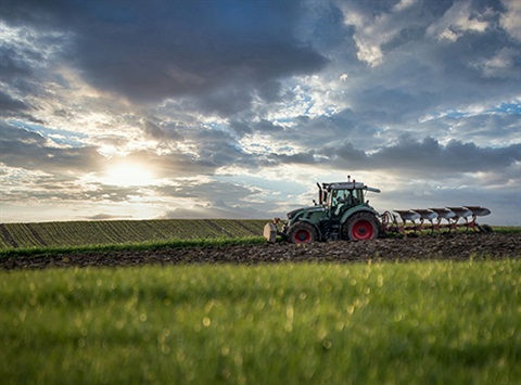 tractor in paddock ploughing