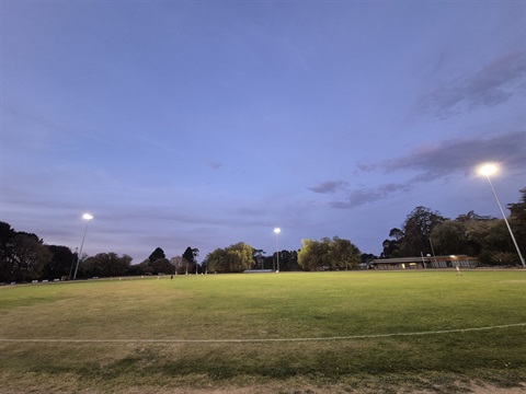 Vic Park lighting upgrade.jpg