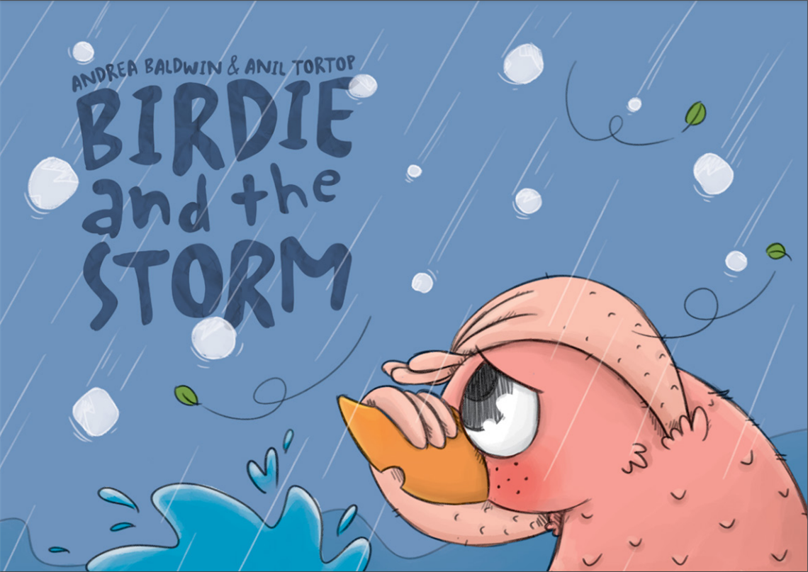 birdie-and-the-storm-cover.png