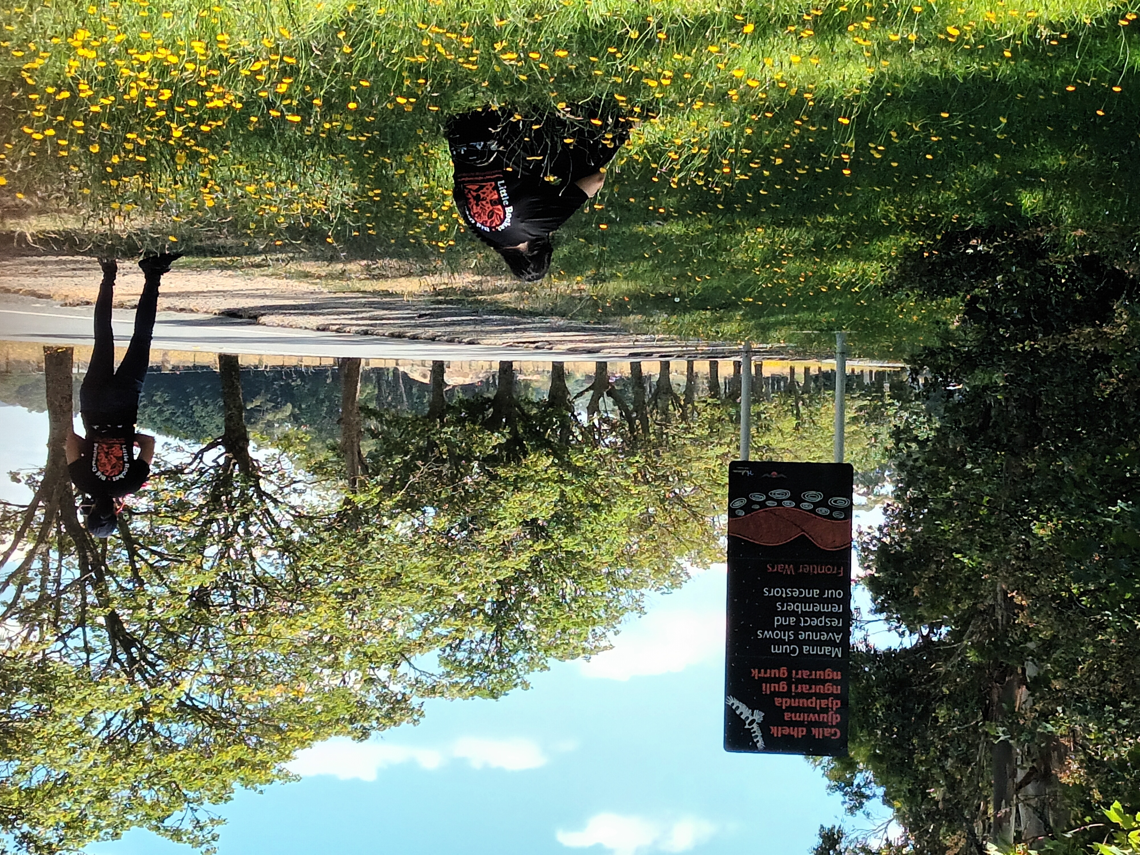 Little Rocket filming at the Manna Gums Frontier War Memorial for Reconciliaiton Victoria Maggolee Award Winners.jpg