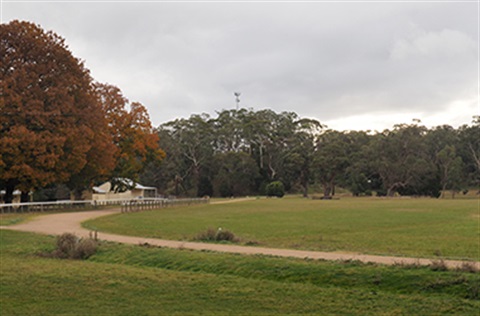The circuit at the Glenlyon Recreation Reserve