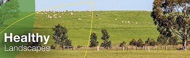 Health Landscapes banner.jpg
