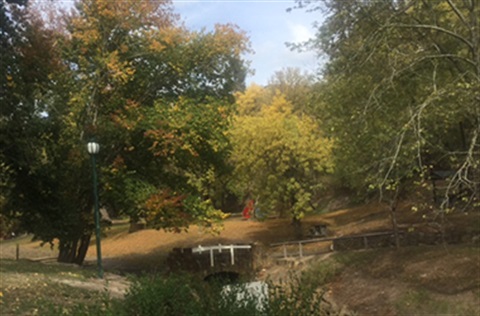 Bridge in the Hepburn Mineral Springs Reserve