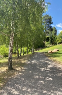 Lake Daylesford 3