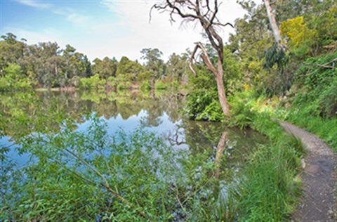 View of Lake Jubilee