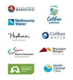 Logos -small.png