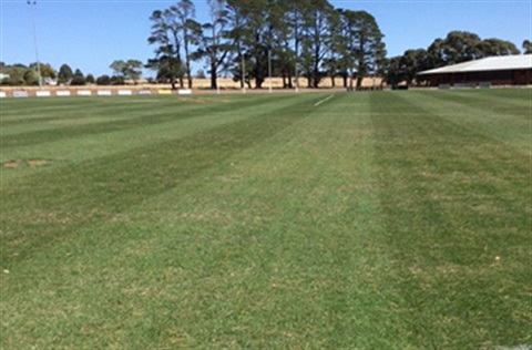 The football oval at the Newlyn Recreation Reserve