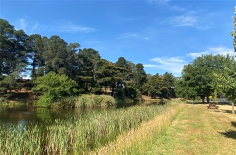 Park Lake Creswick 3