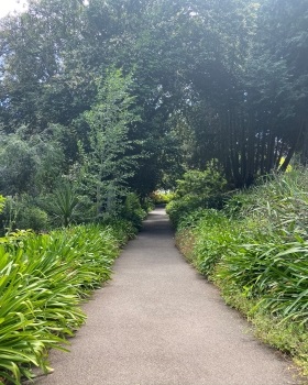 Wombat Hill Botanical Gardens 3