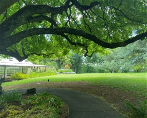 Wombat Hill Botanical Gardens