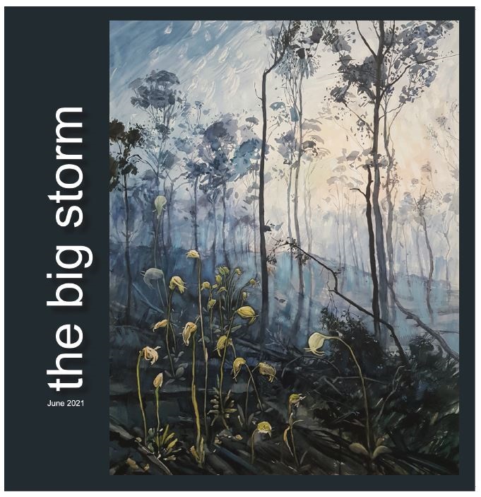 The Big Storm book cover