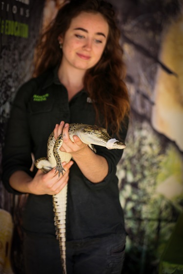 Sustainable Hepburn Day March 2024