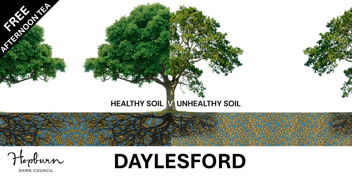 MainImage.jpg