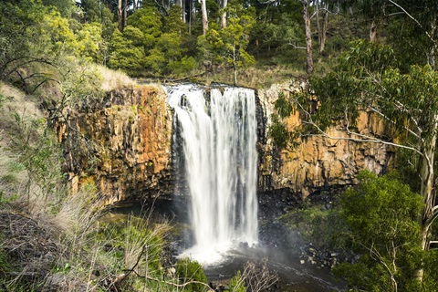 Trentham waterfall